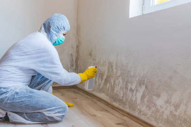 Mold Remediation specialist working in Glen Rock