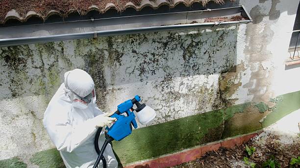 Mold Removal service in Glen Rock